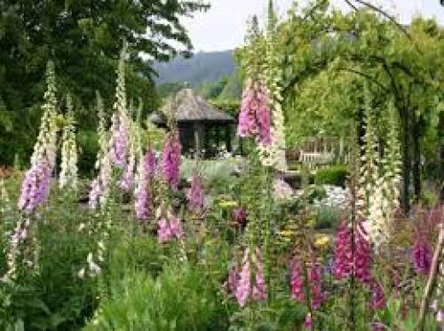 Rosemoor 1.jpg_1518875651