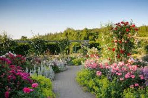 Rosemoor 2.jpg_1518875651